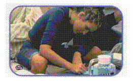Cuadro de texto:  