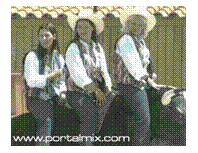 Cuadro de texto:  